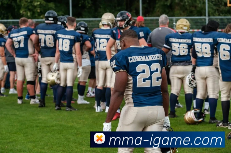 爱游戏发展历程